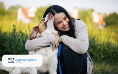 How Dog Training Can Improve Your Bond with Your Pet